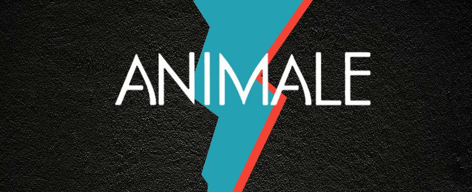 Animale for Men Eau de Toilette - Image 3