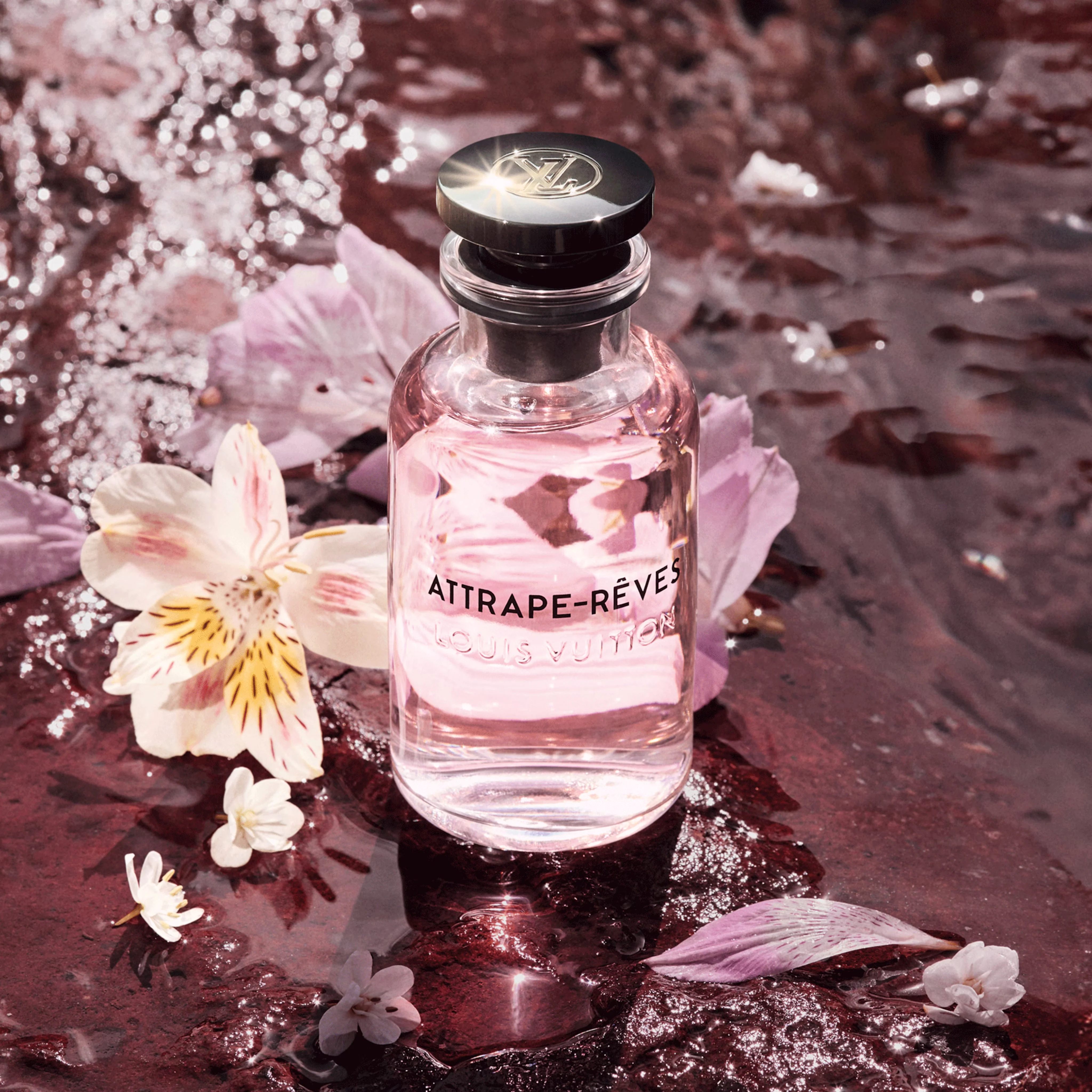 Attrape-Rêves EDP - Image 3